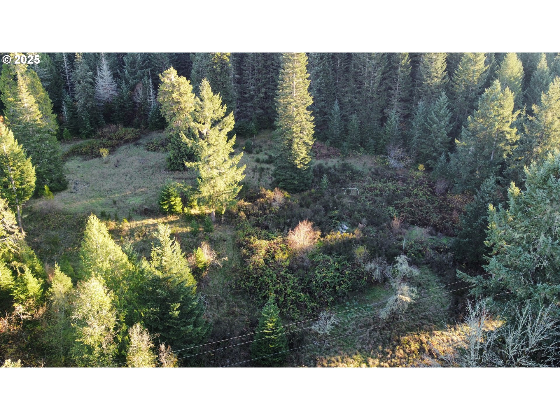 Hard Cash Ln Property Photo 13
