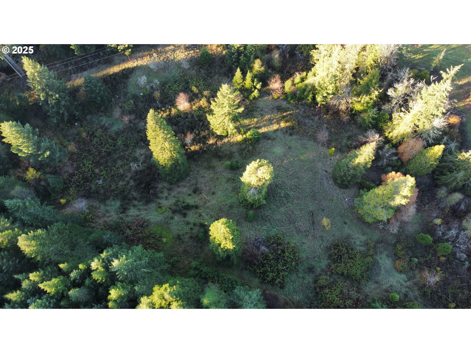 Hard Cash Ln Property Photo 14