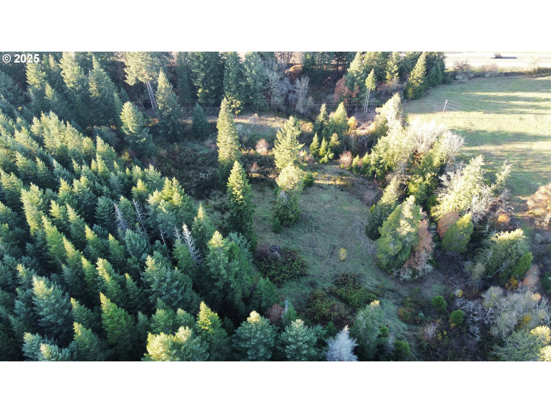 Hard Cash Ln Property Photo 15