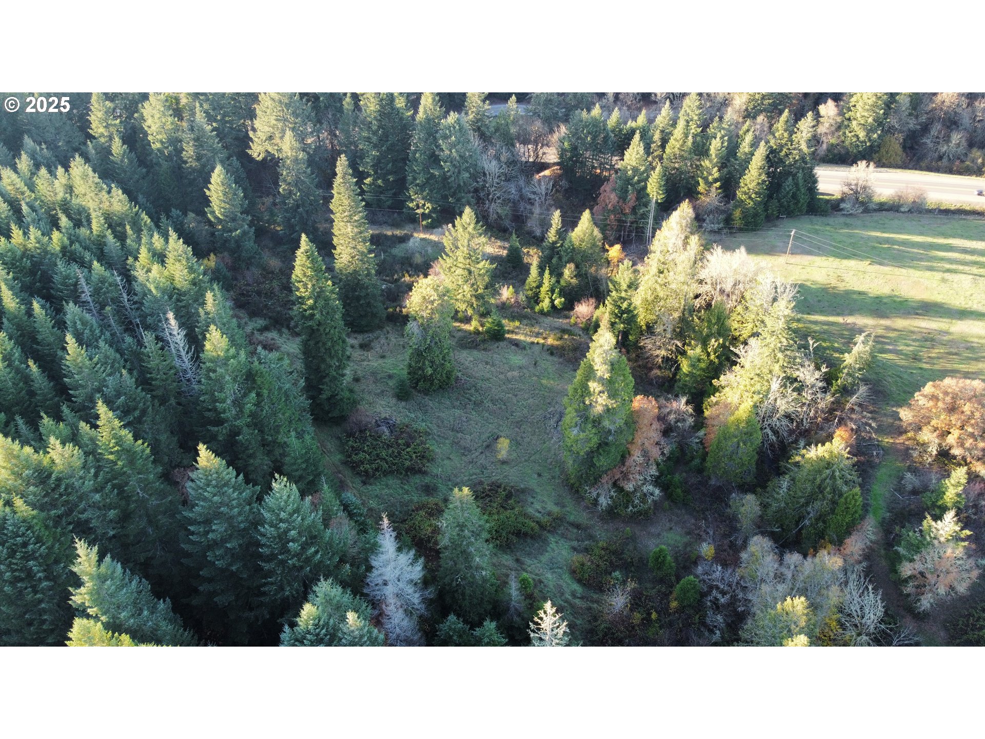 Hard Cash Ln Property Photo 16
