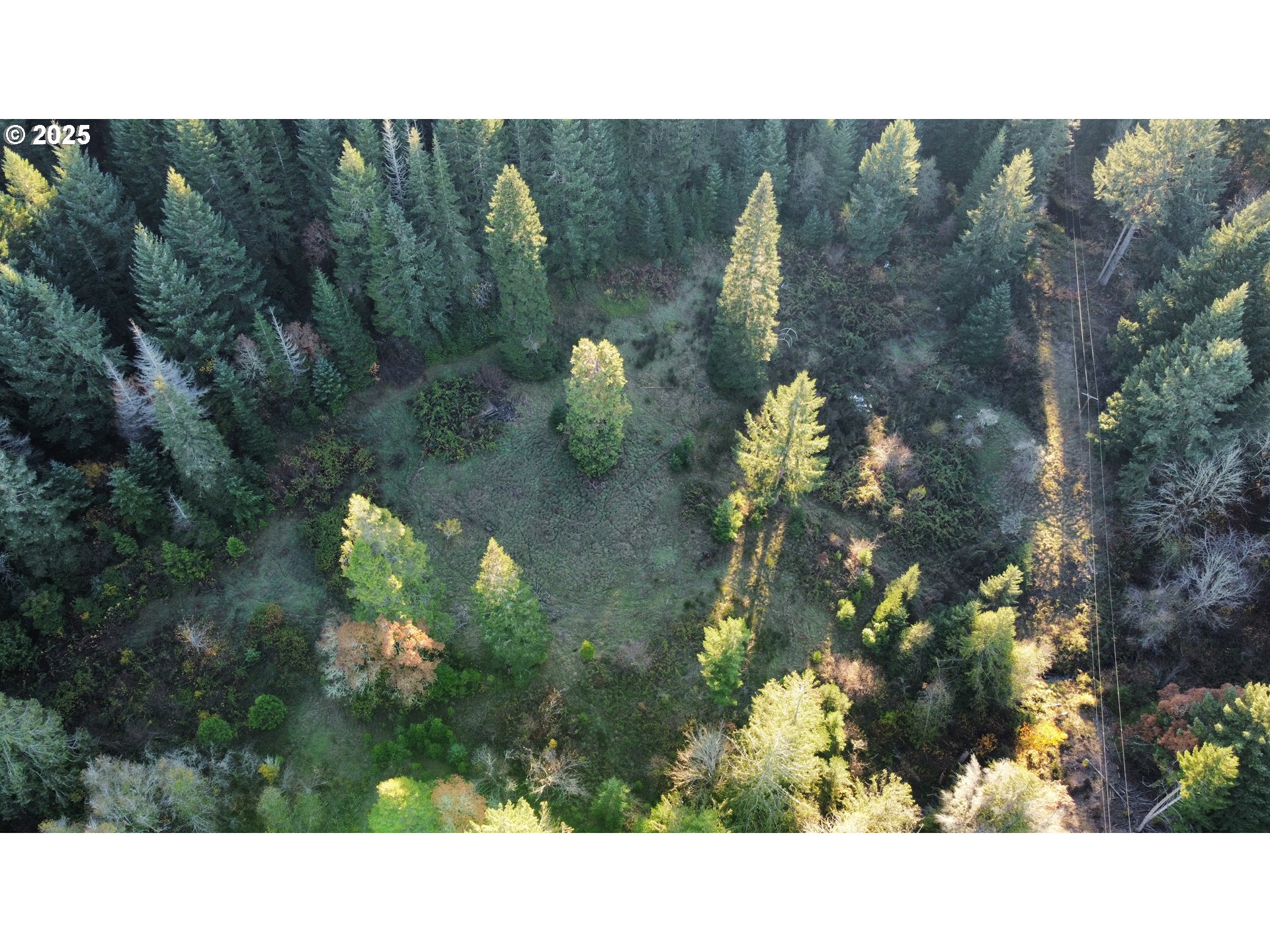 Hard Cash Ln Property Photo 17