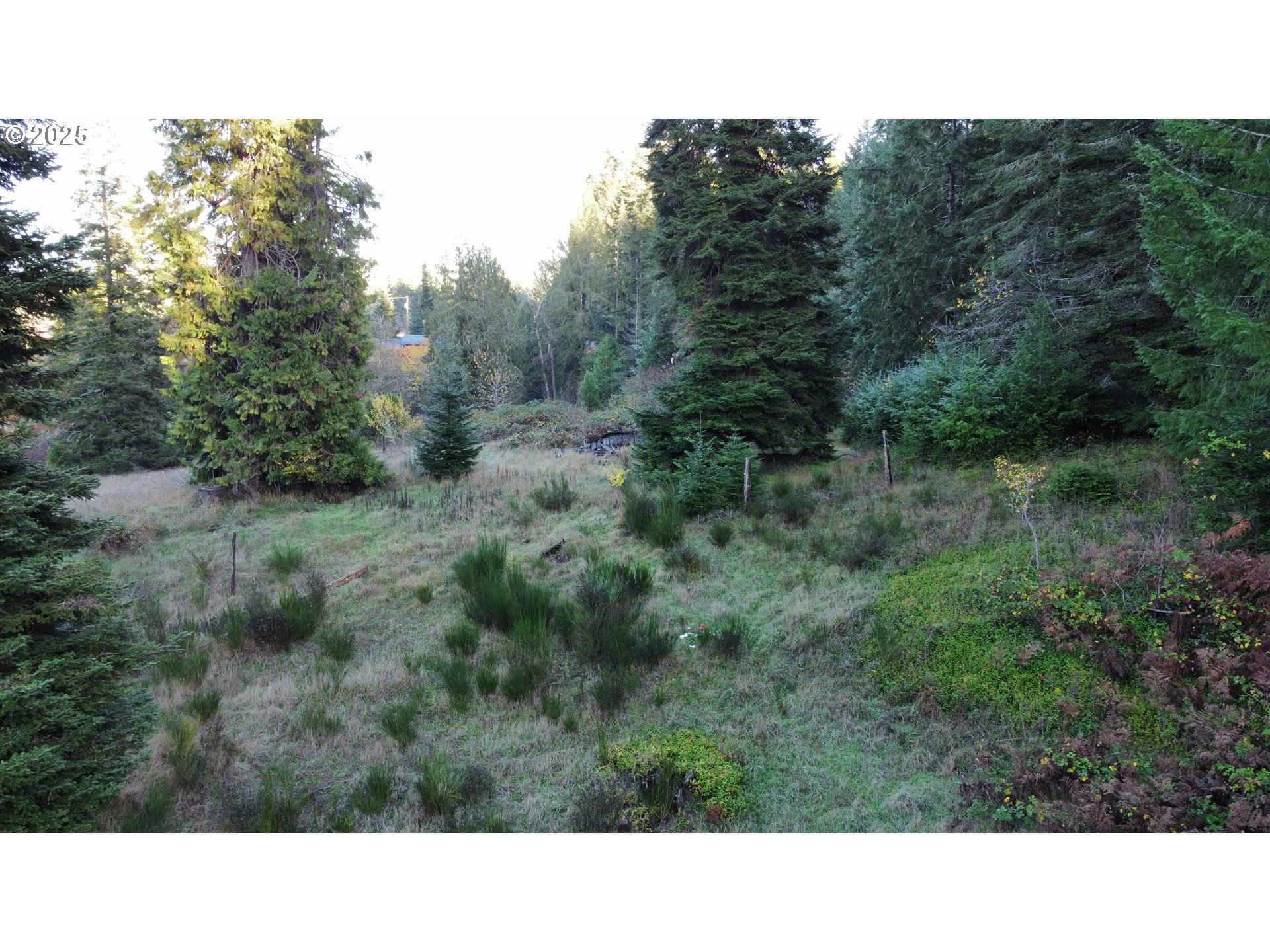 Hard Cash Ln Property Photo 22
