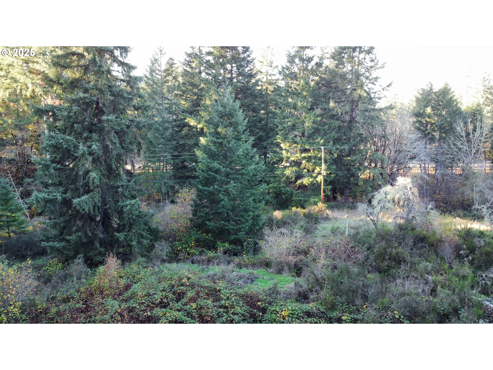 Hard Cash Ln Property Photo 23