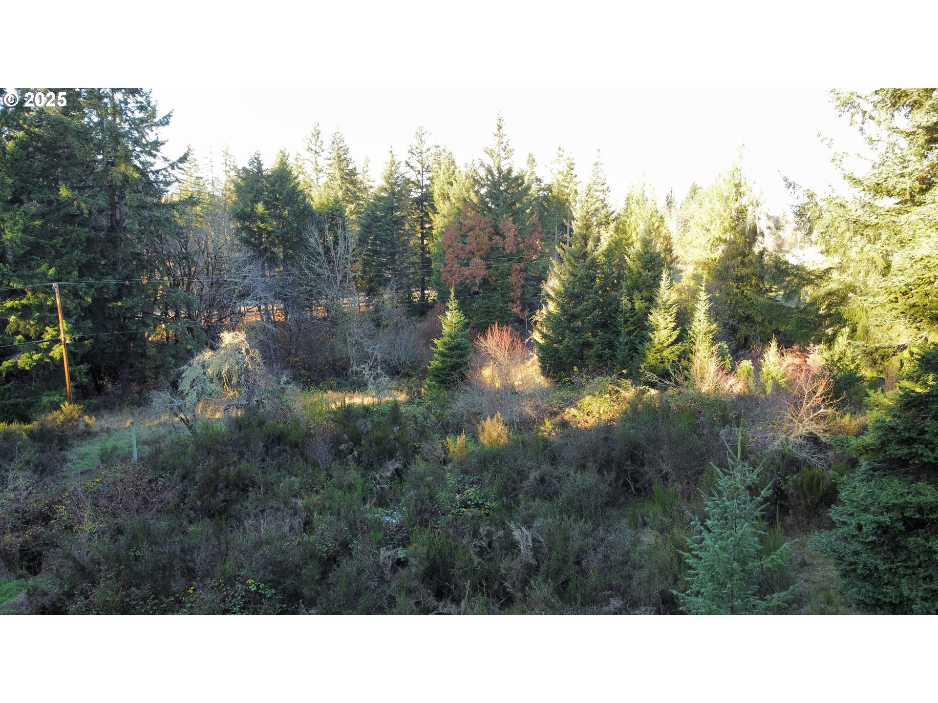 Hard Cash Ln Property Photo 24
