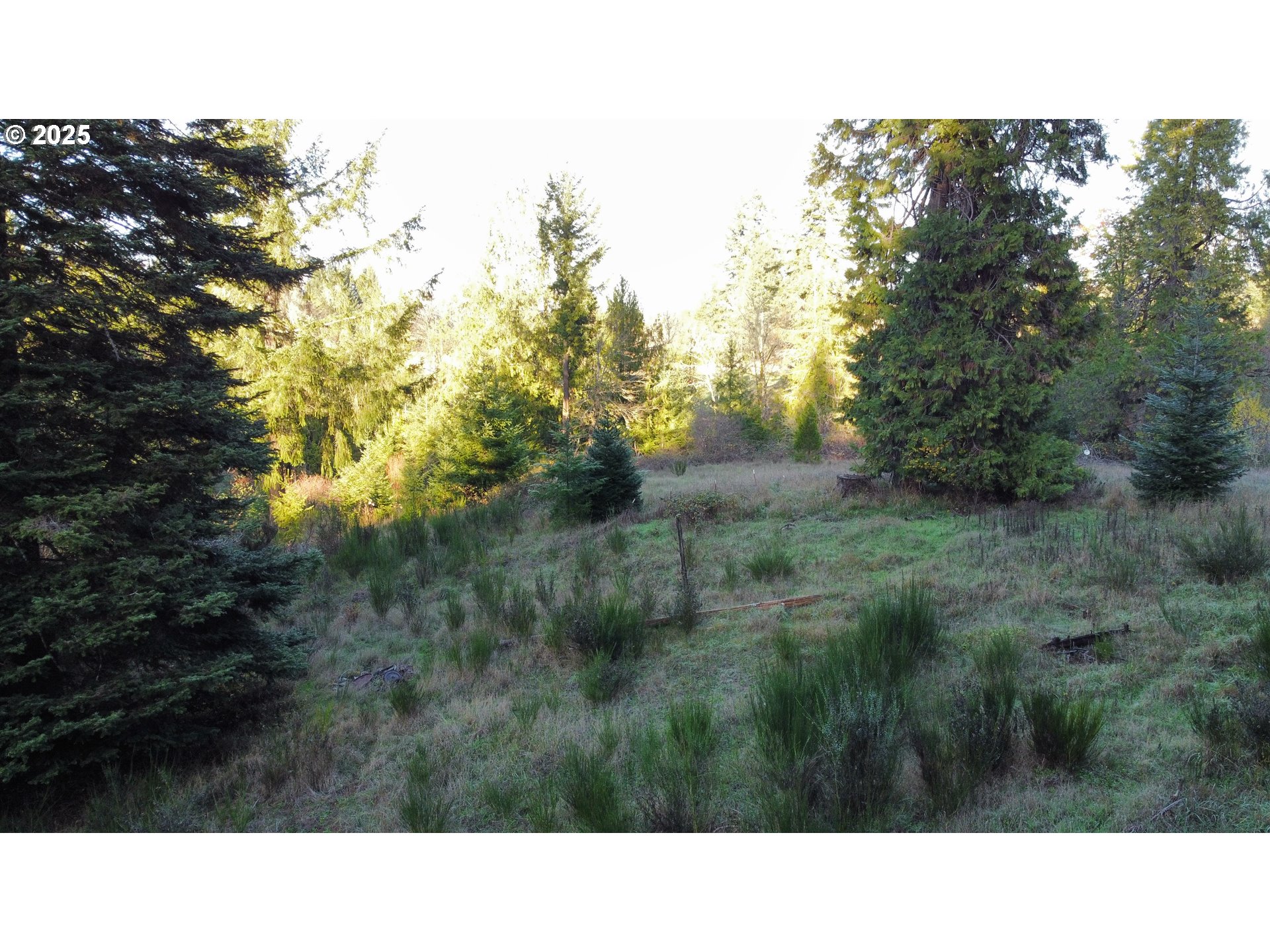 Hard Cash Ln Property Photo 25