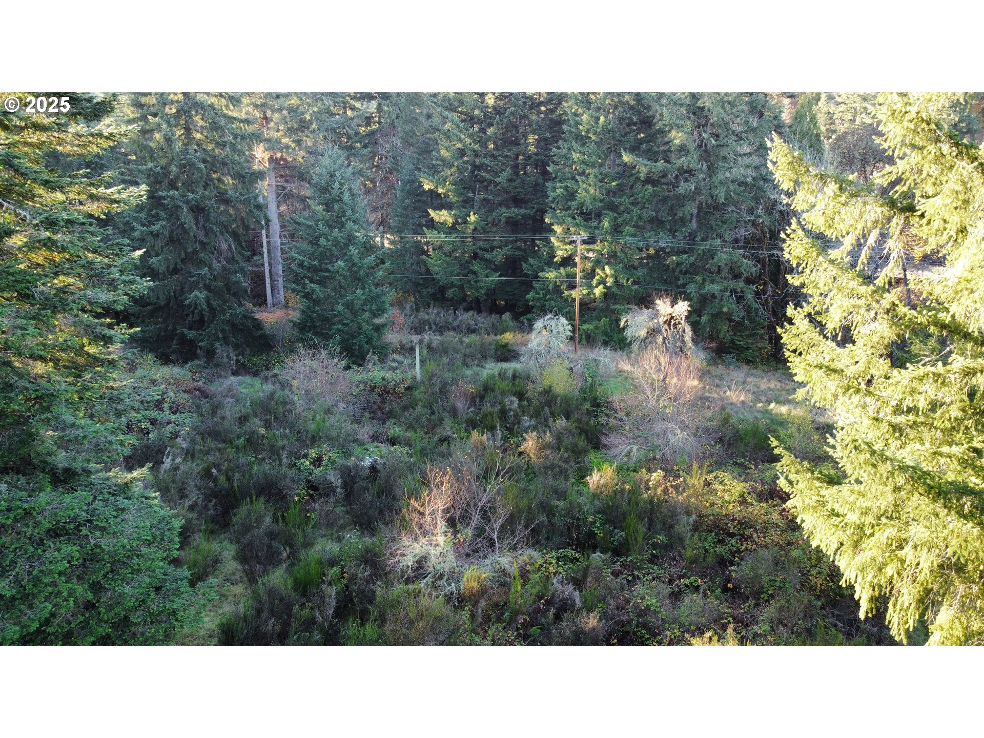 Hard Cash Ln Property Photo 26