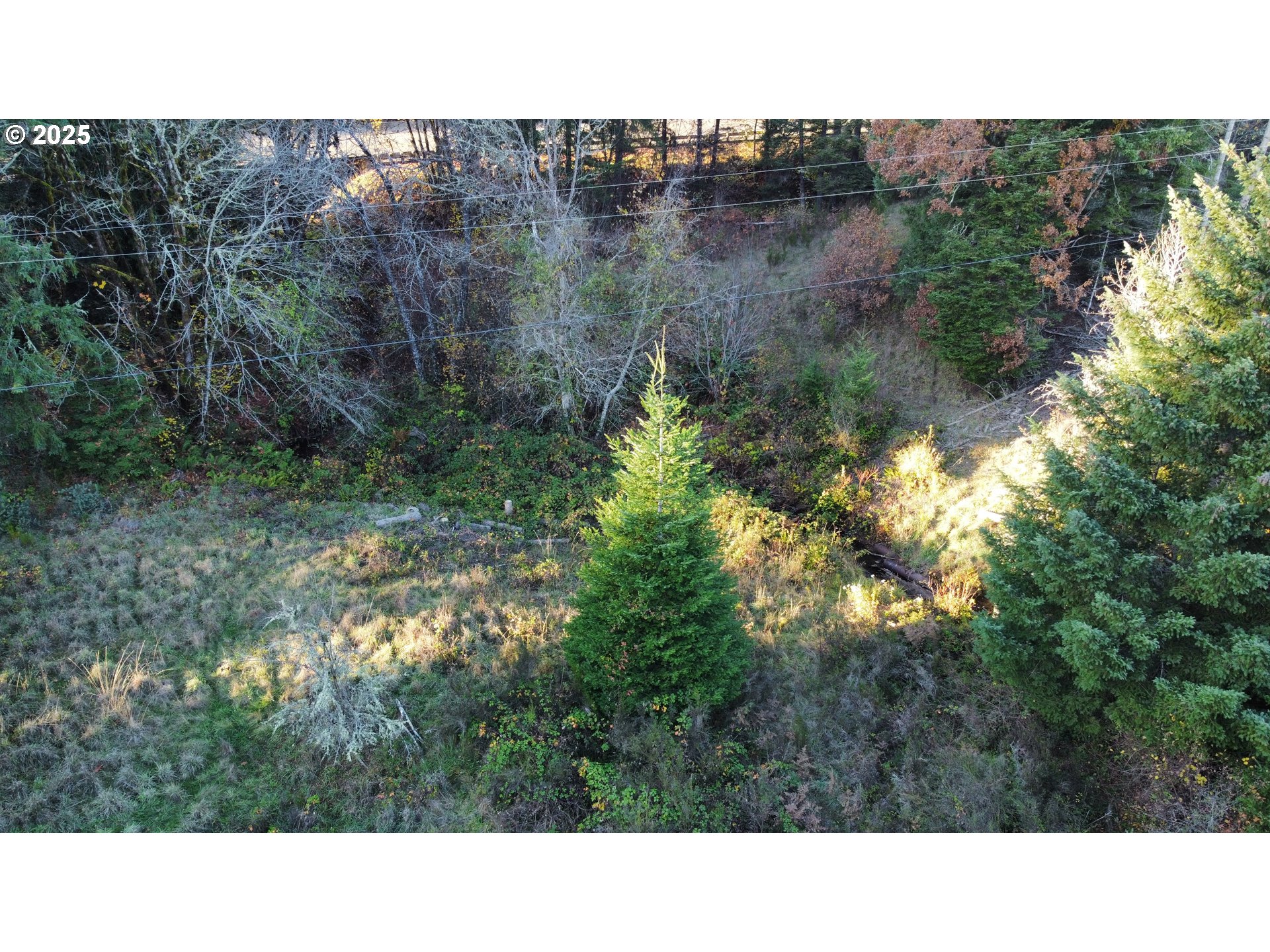 Hard Cash Ln Property Photo 27
