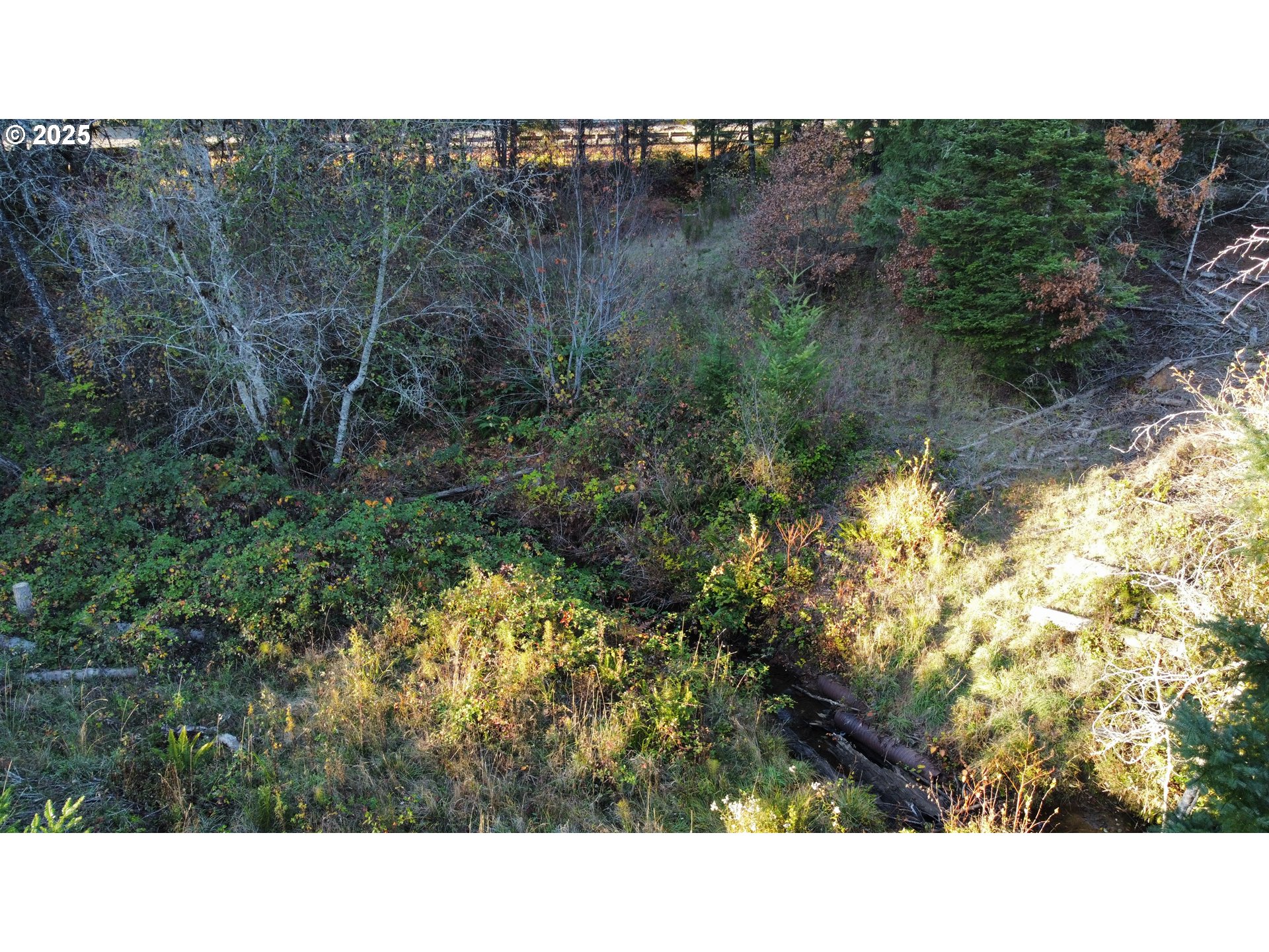 Hard Cash Ln Property Photo 28