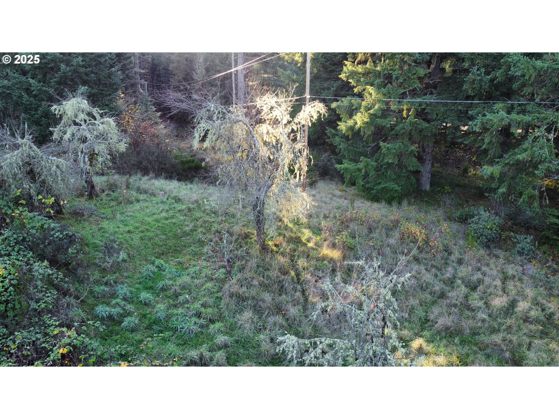 Hard Cash Ln Property Photo 29