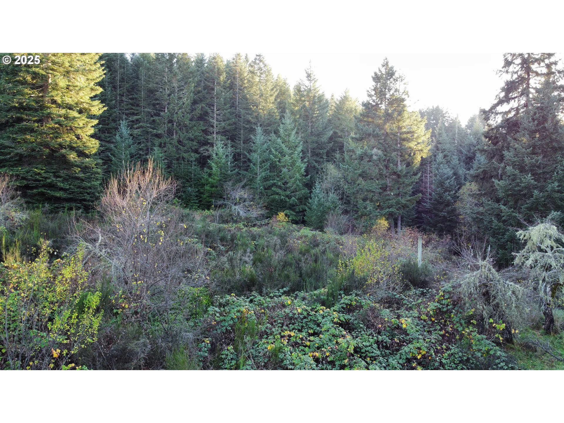 Hard Cash Ln Property Photo 30