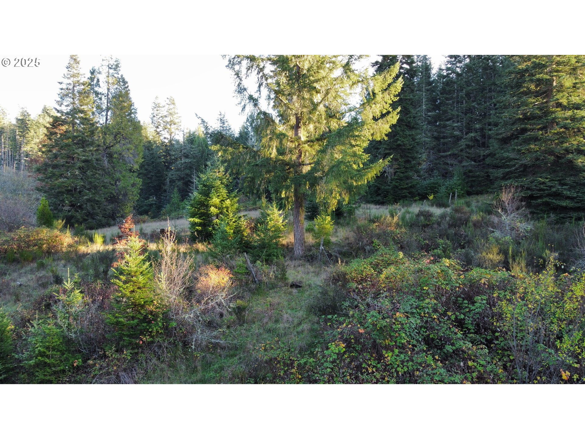 Hard Cash Ln Property Photo 31