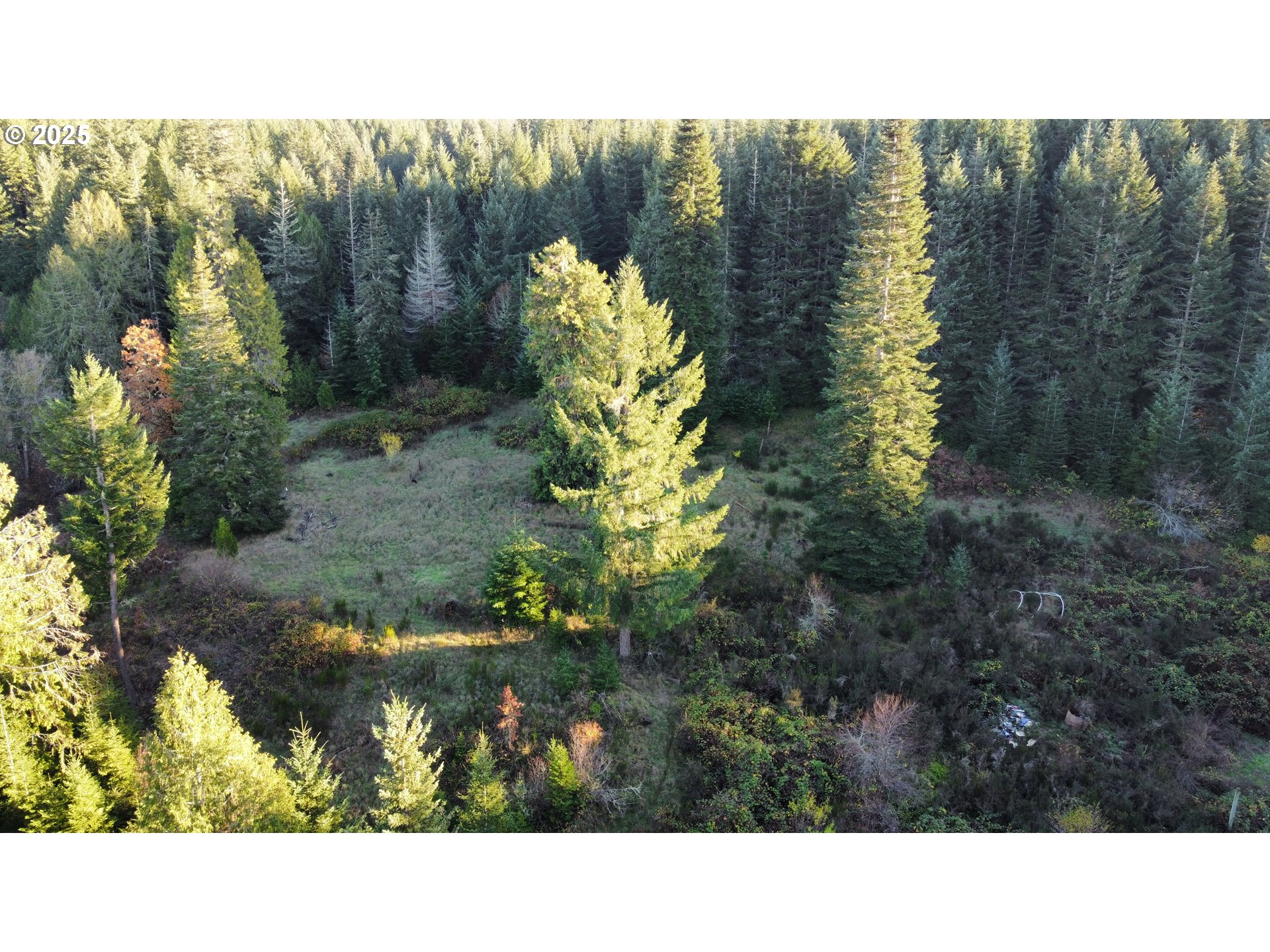 Hard Cash Ln Property Photo 32