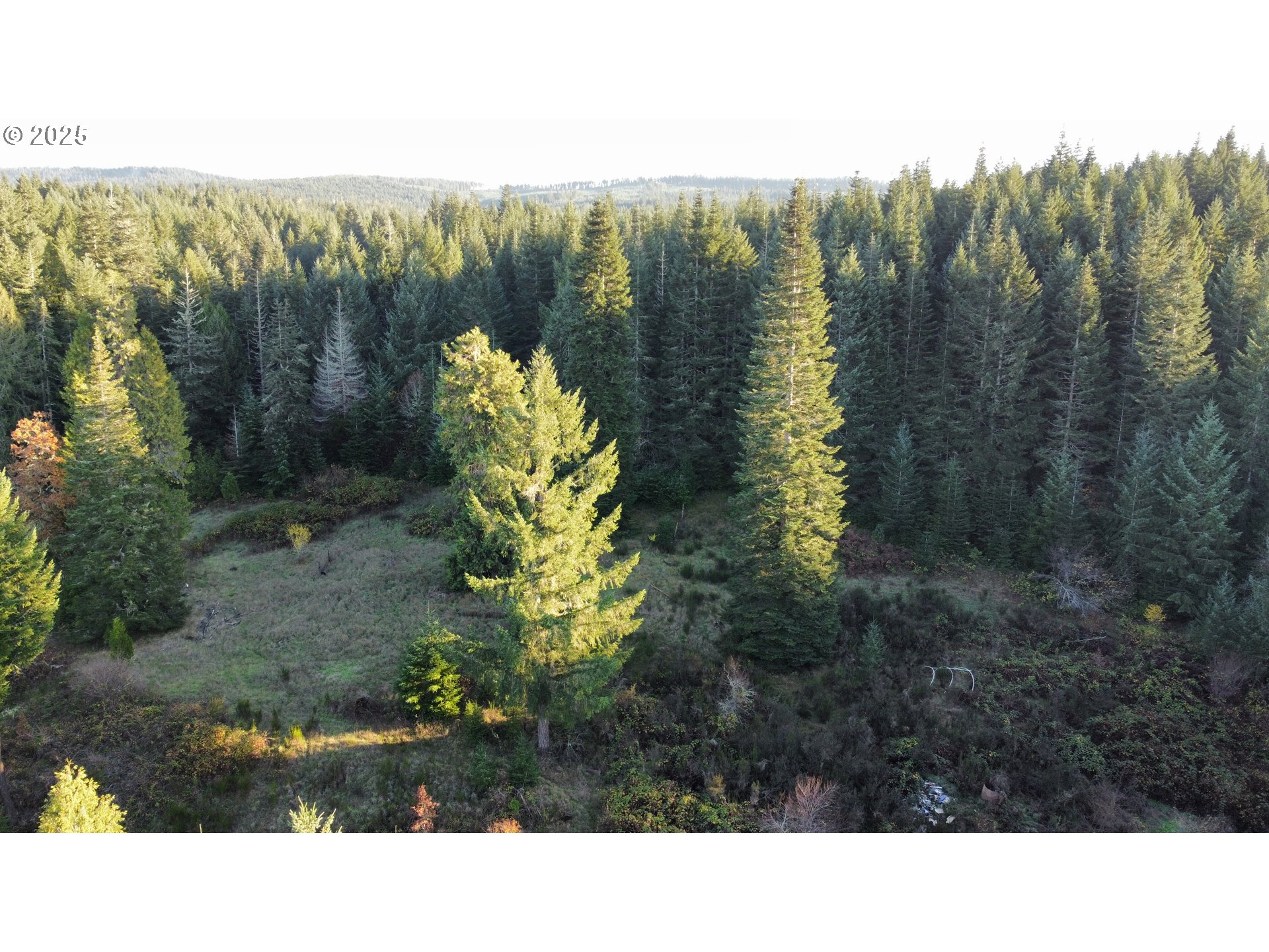Hard Cash Ln Property Photo 33