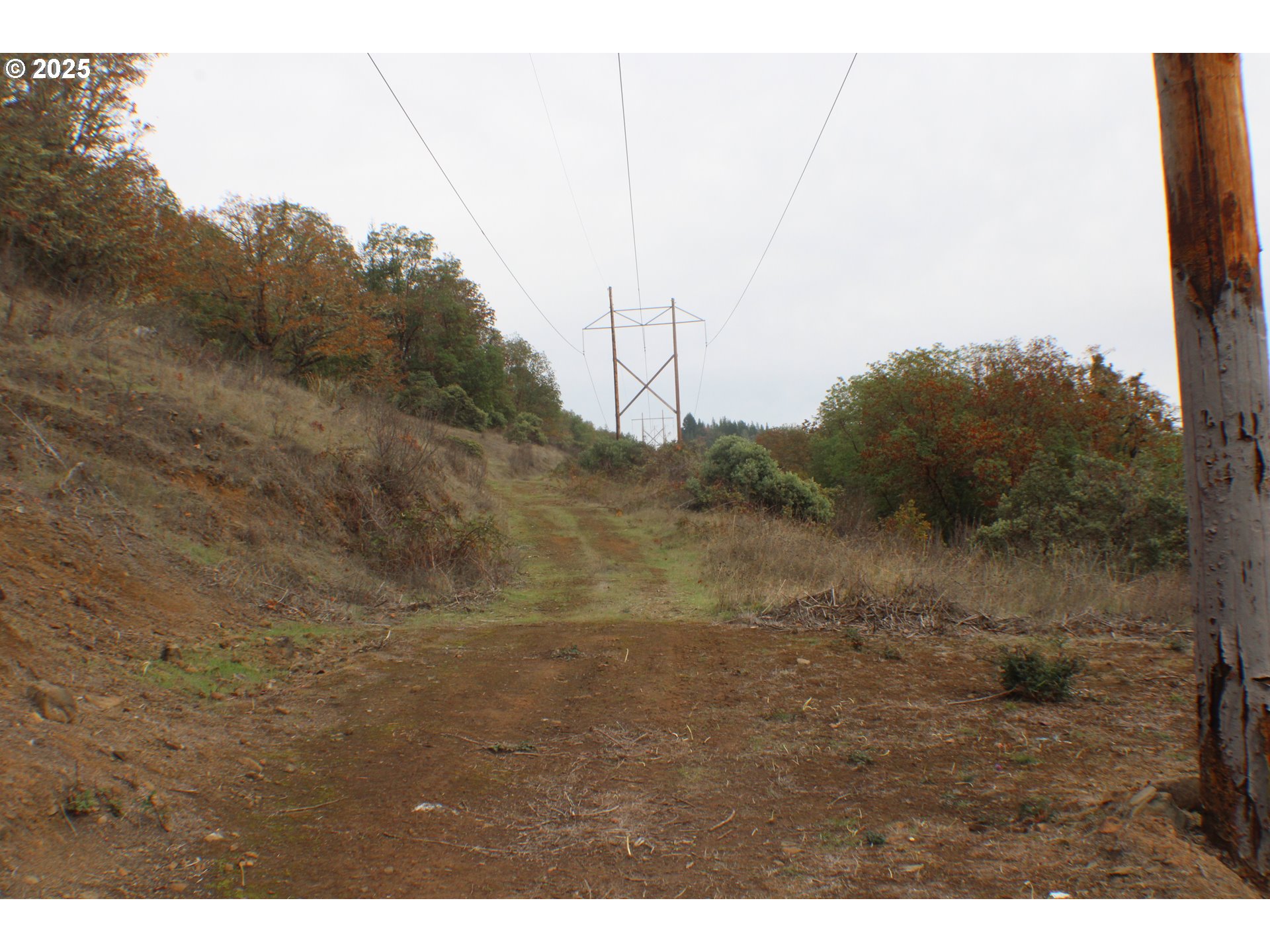 1320 Shoestring Rd Property Photo 42