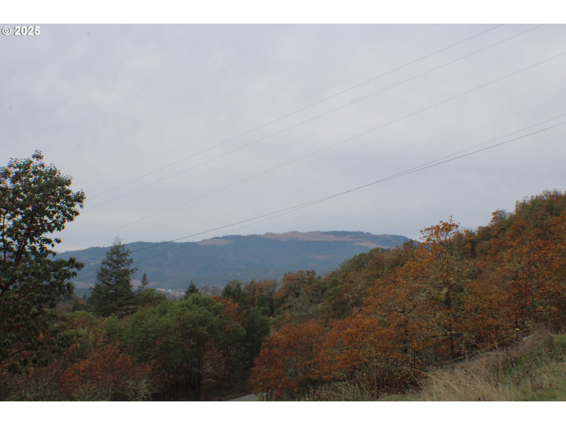 1320 Shoestring Rd Property Photo 45