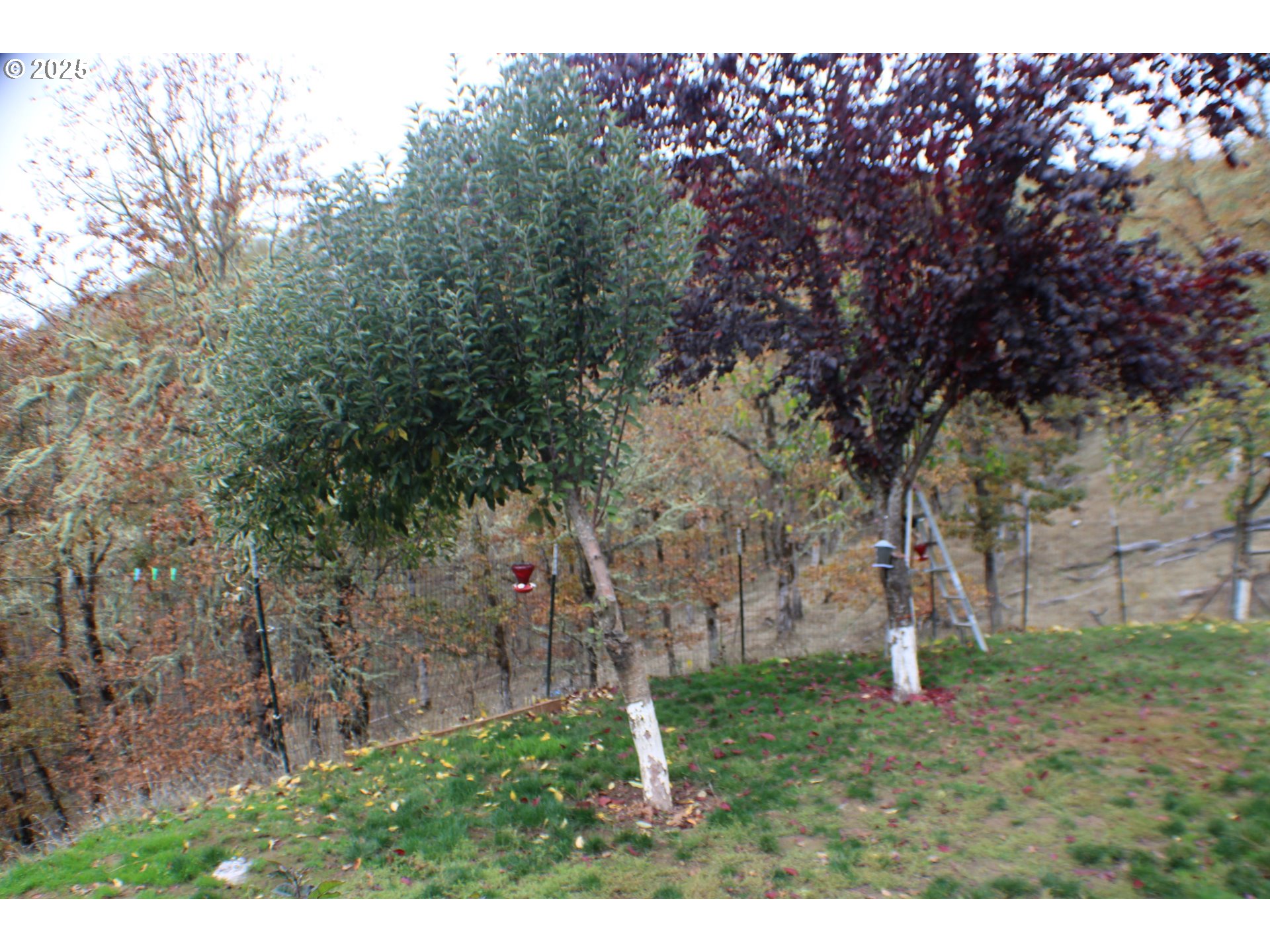 1320 Shoestring Rd Property Photo 46