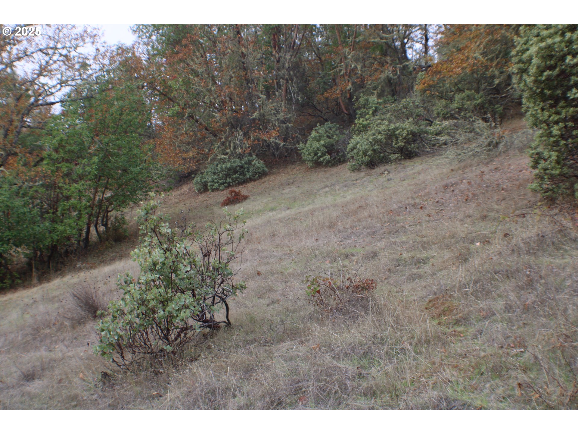 1320 Shoestring Rd Property Photo 47
