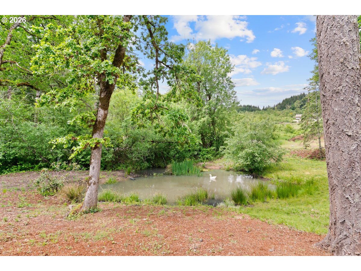 41114 Sw Fort Hill Rd Property Photo 45