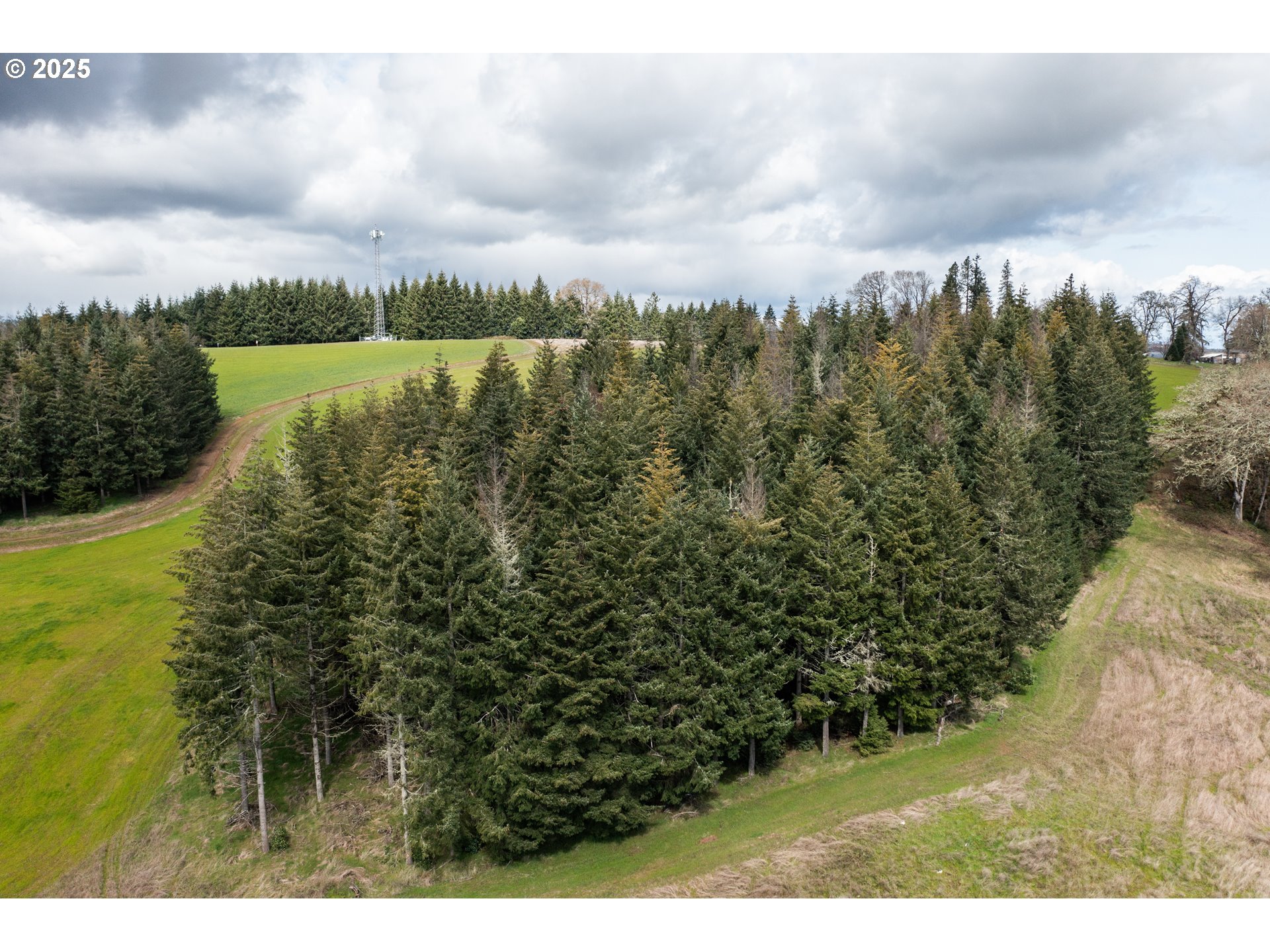 92884 Applegate Property Photo 18