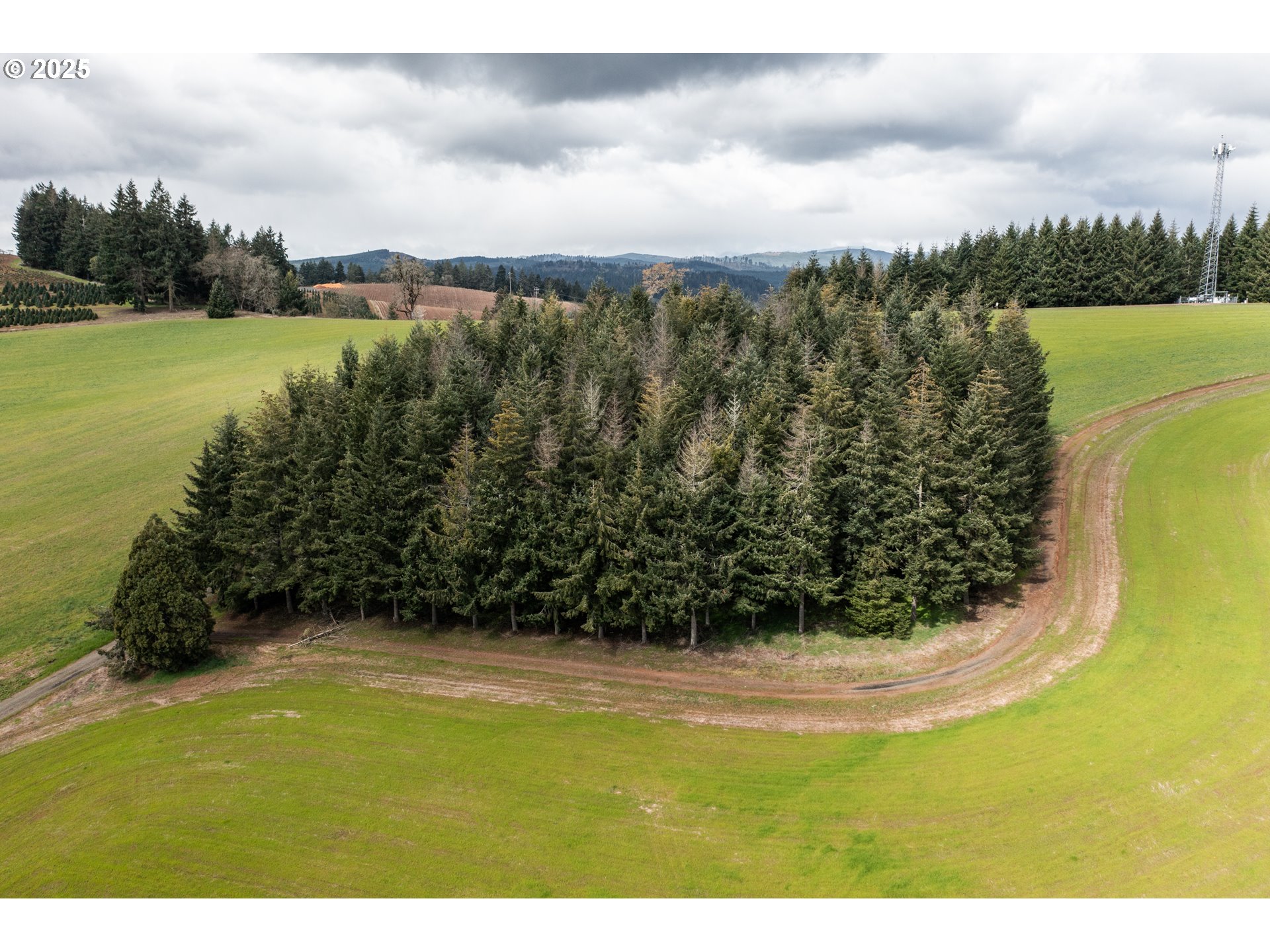 92884 Applegate Property Photo 19