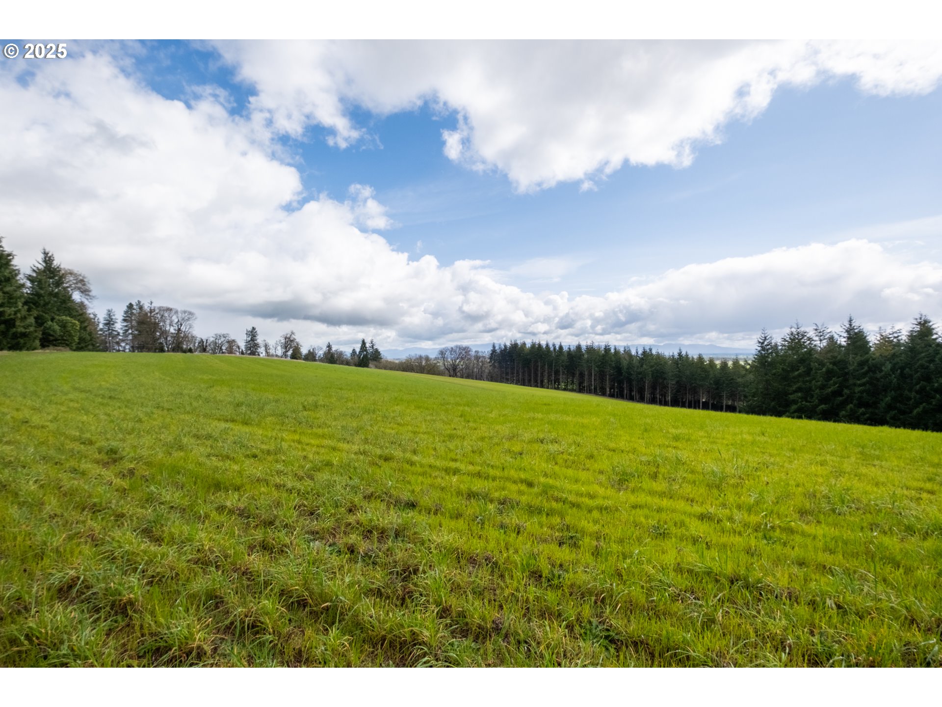 92884 Applegate Property Photo 21