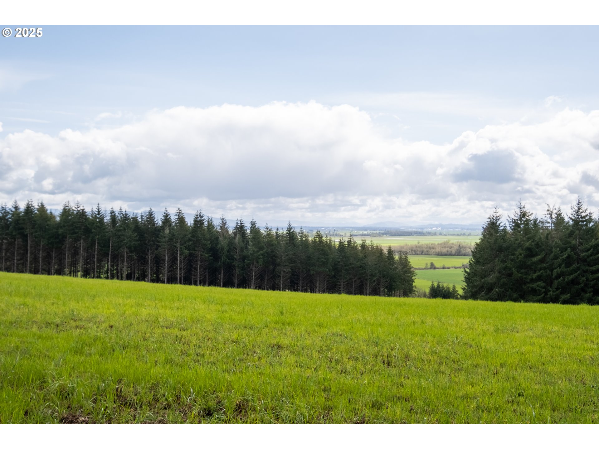 92884 Applegate Property Photo 23