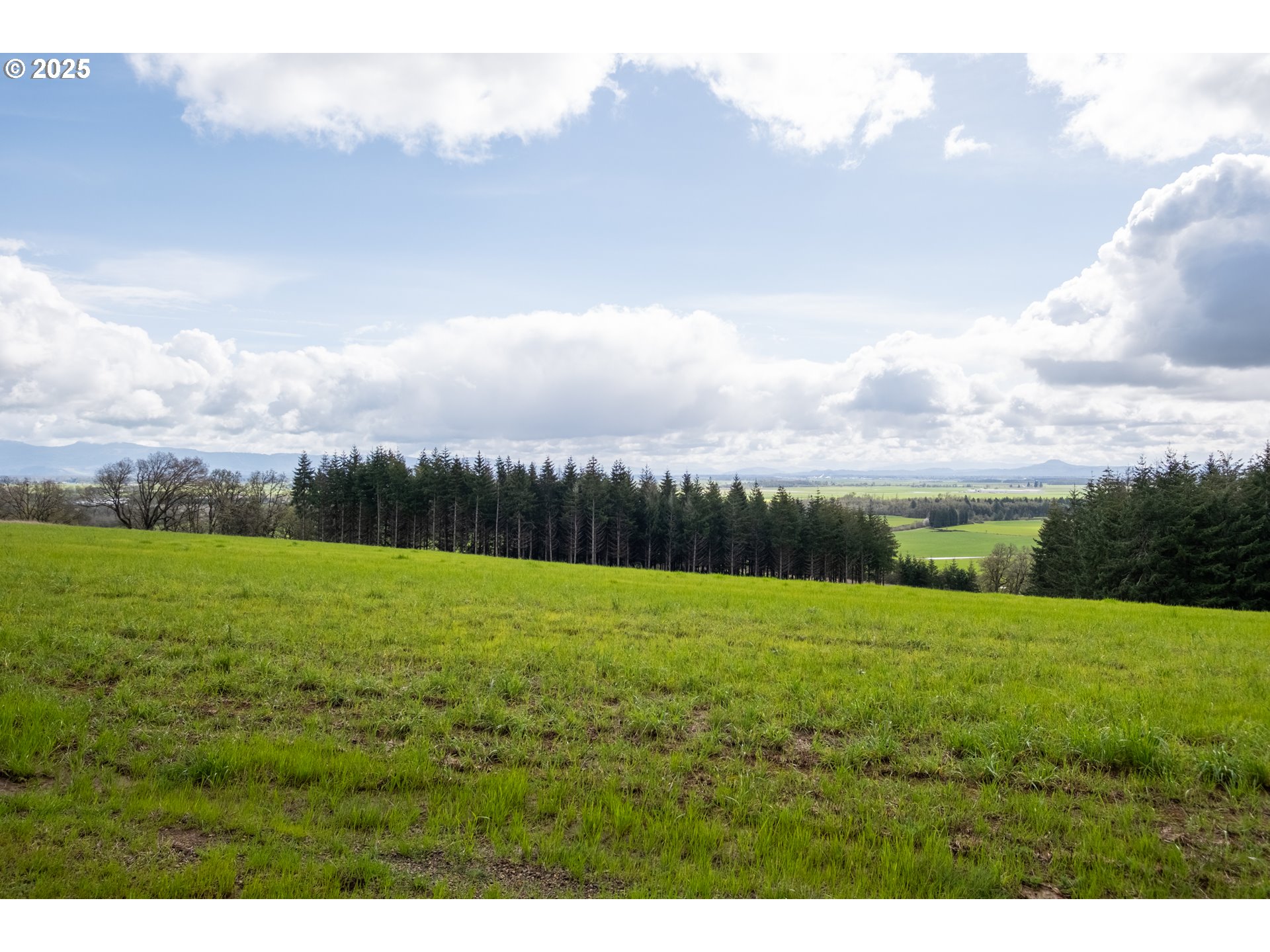 92884 Applegate Property Photo 24