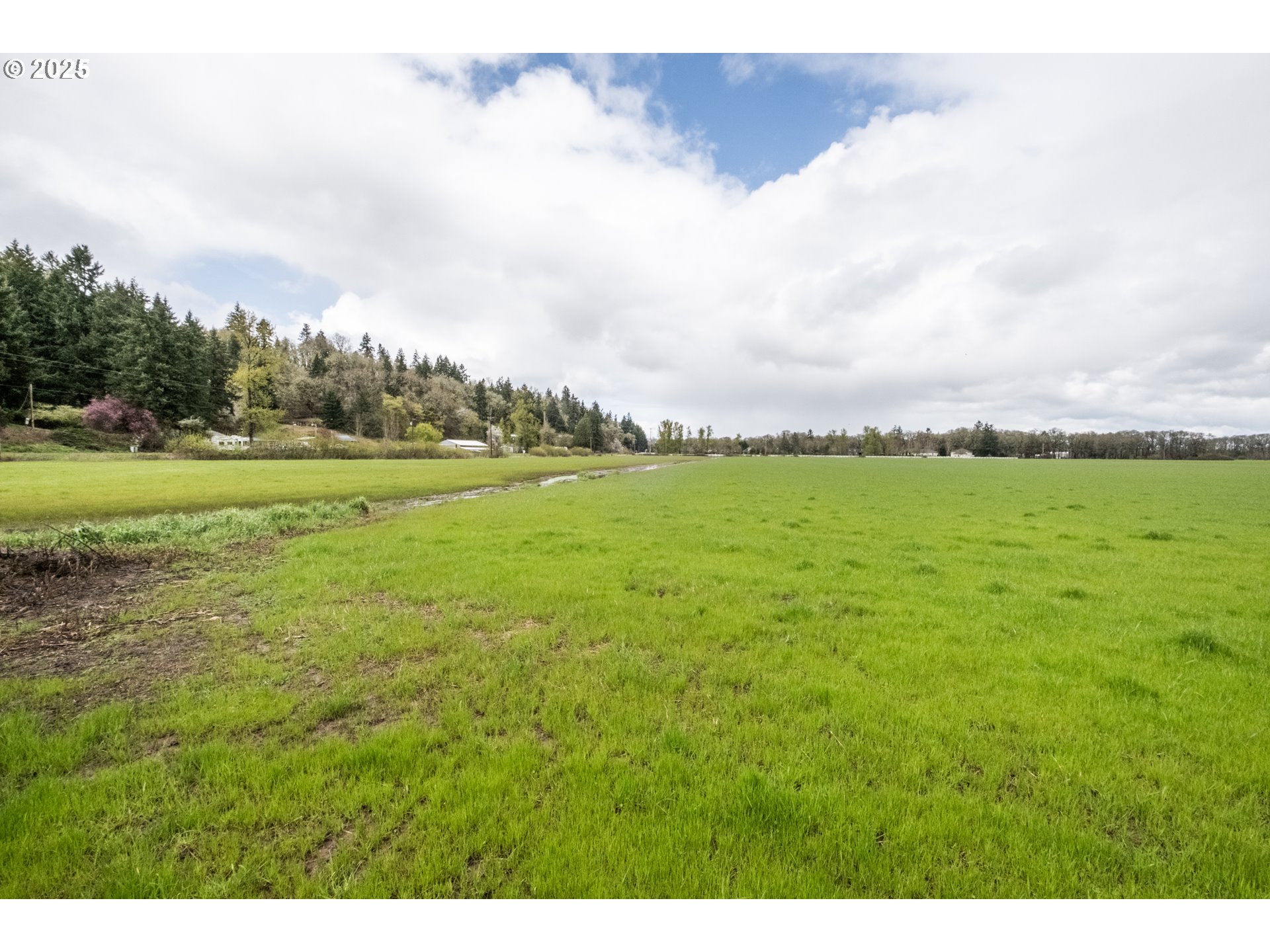 92884 Applegate Property Photo 28