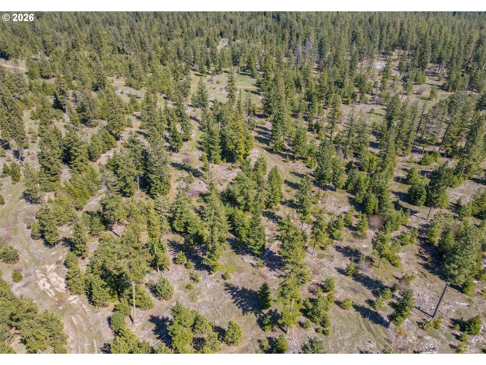 5 Sky Rd Property Photo 9