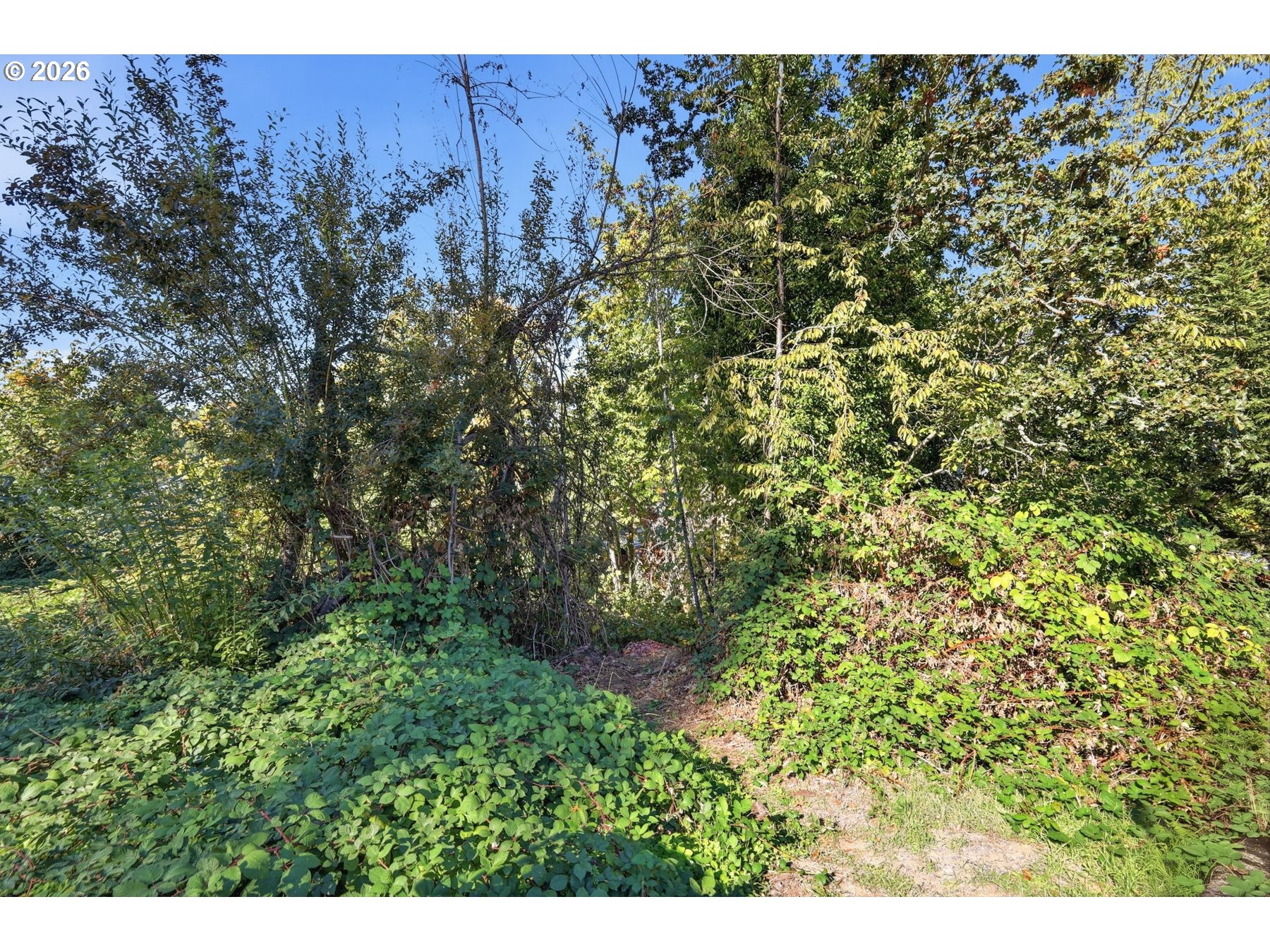S 72nd Pl Property Photo 4