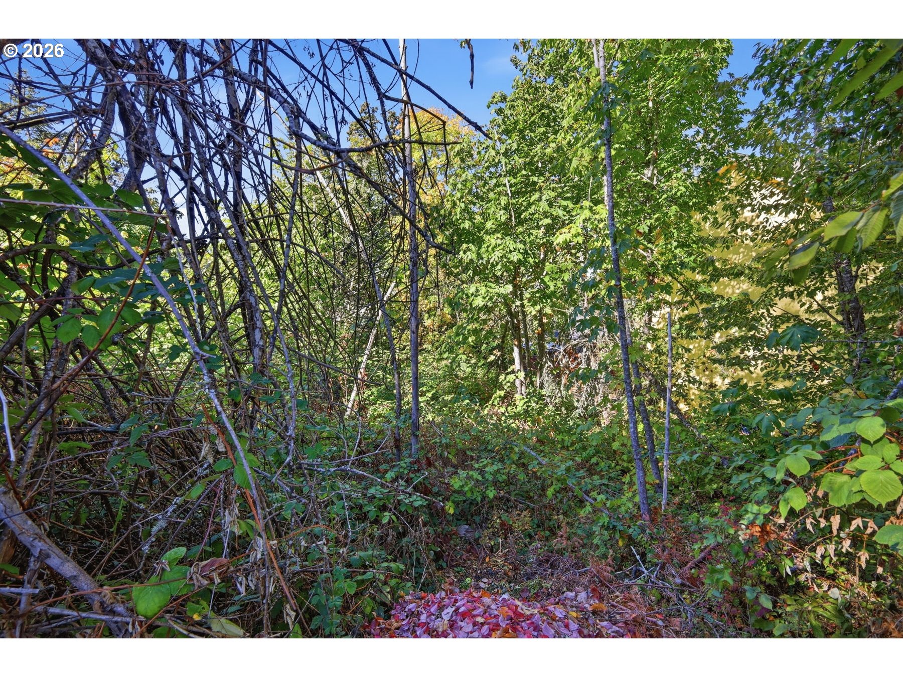 S 72nd Pl Property Photo 5