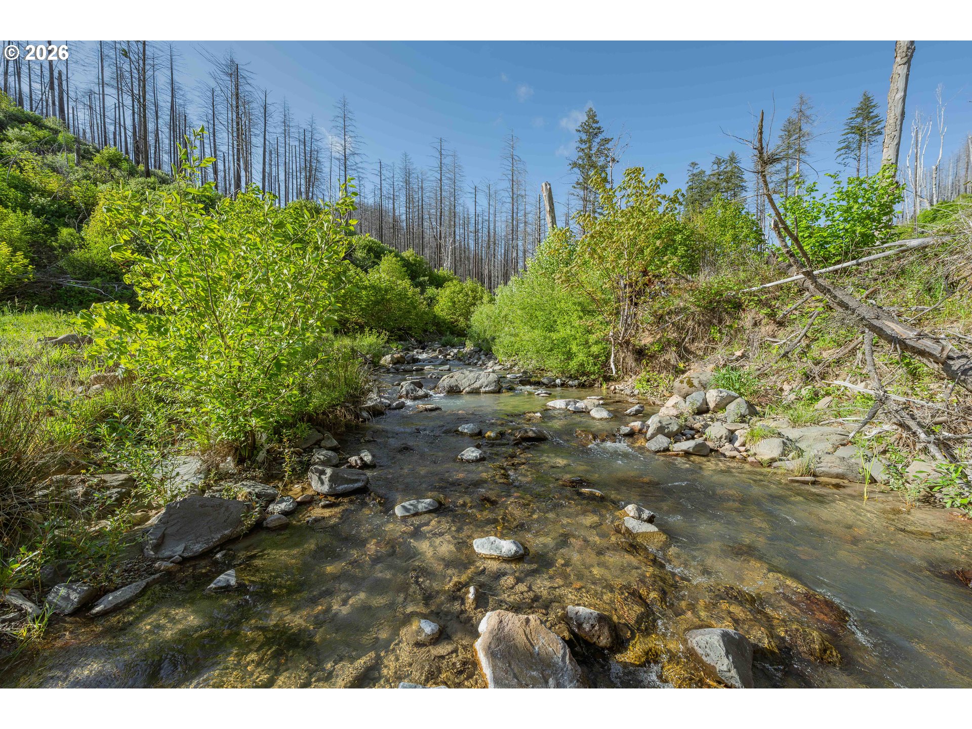 942 Honey Creek Rd Property Photo 1