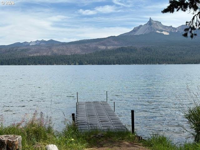 97 Diamond Lake Loop Property Photo 3