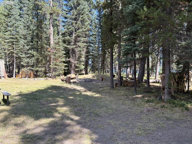 97 Diamond Lake Loop Property Photo 29