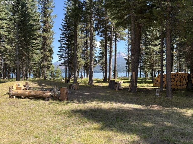 97 Diamond Lake Loop Property Photo 30