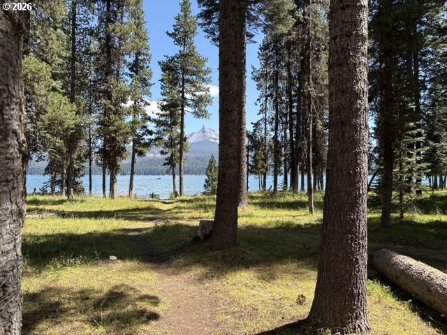97 Diamond Lake Loop Property Photo 31