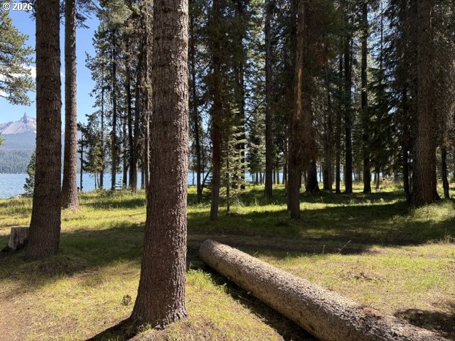 97 Diamond Lake Loop Property Photo 32