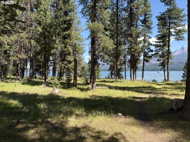 97 Diamond Lake Loop Property Photo 33