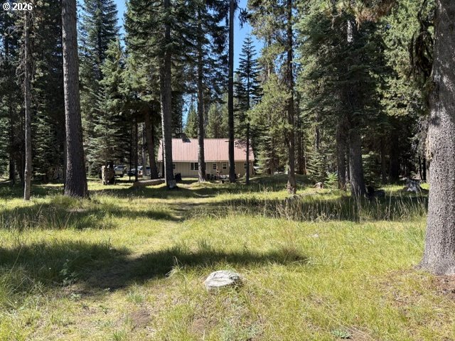 97 Diamond Lake Loop Property Photo 34