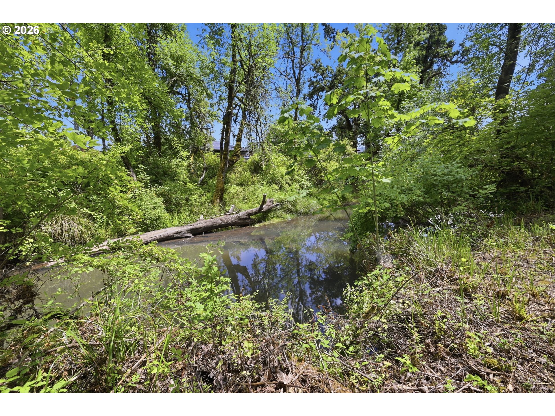 37340 Camp Creek Rd Property Photo 29