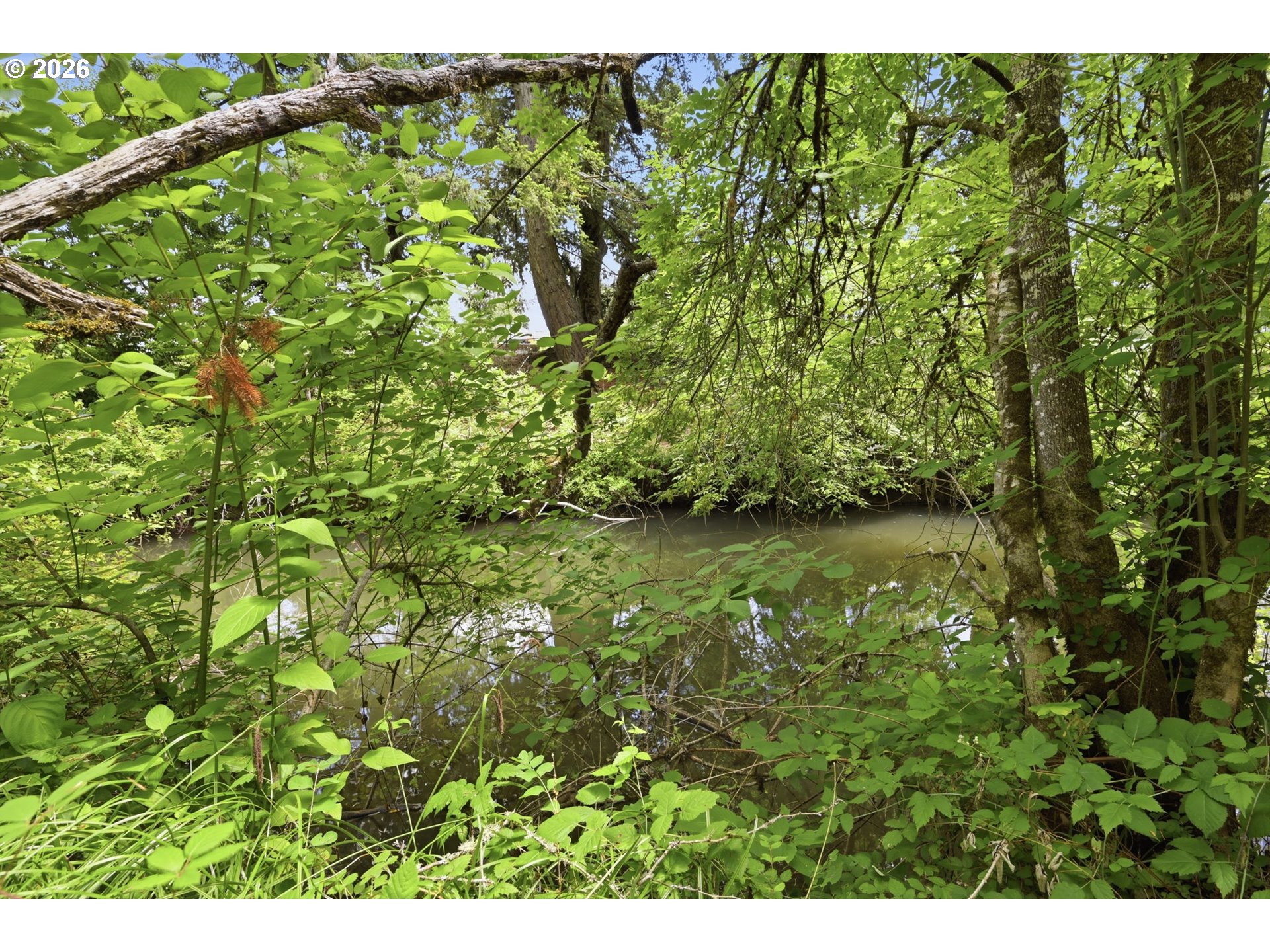 37340 Camp Creek Rd Property Photo 30