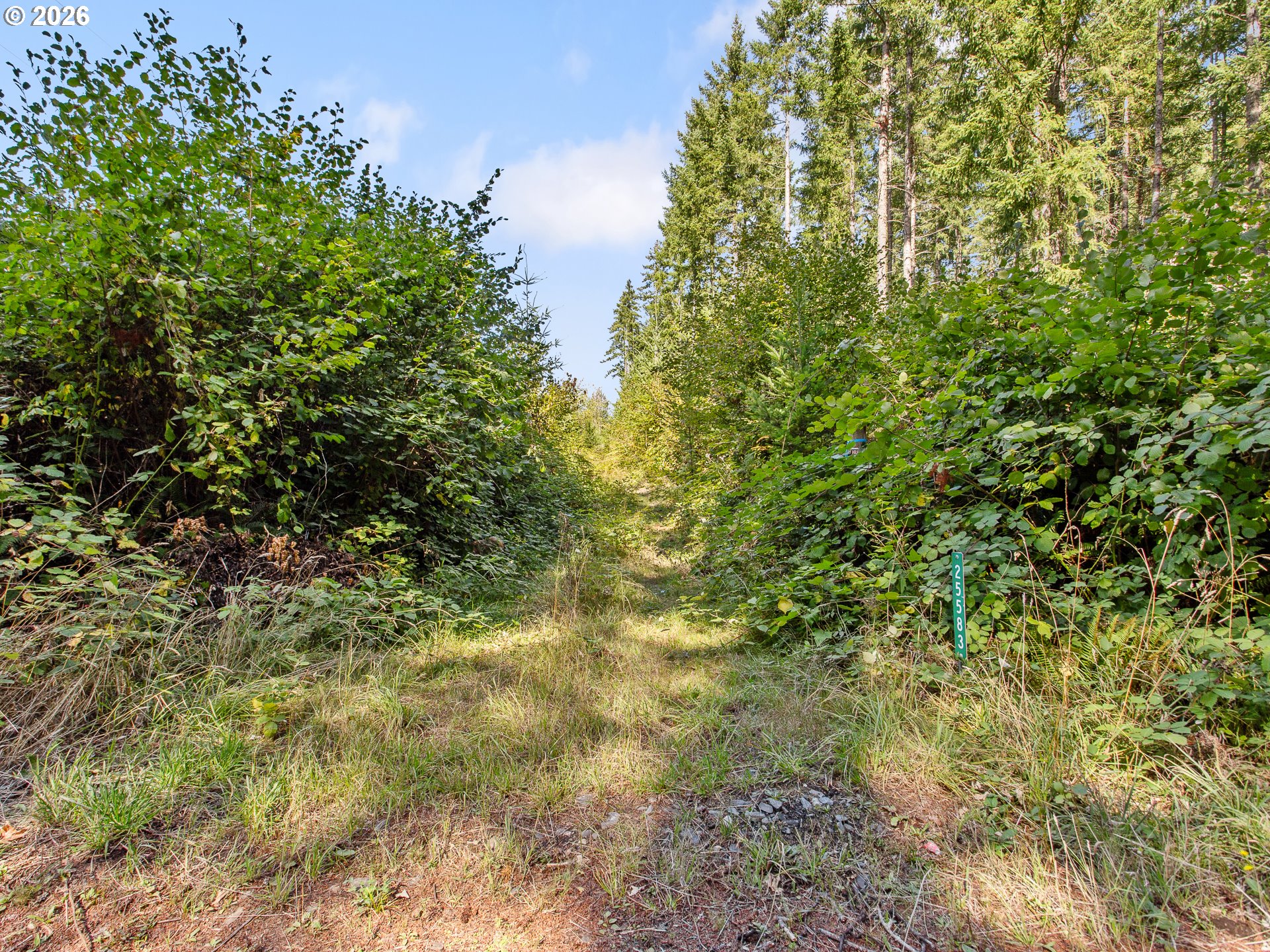 25583 S Elwood Rd Property Photo 3