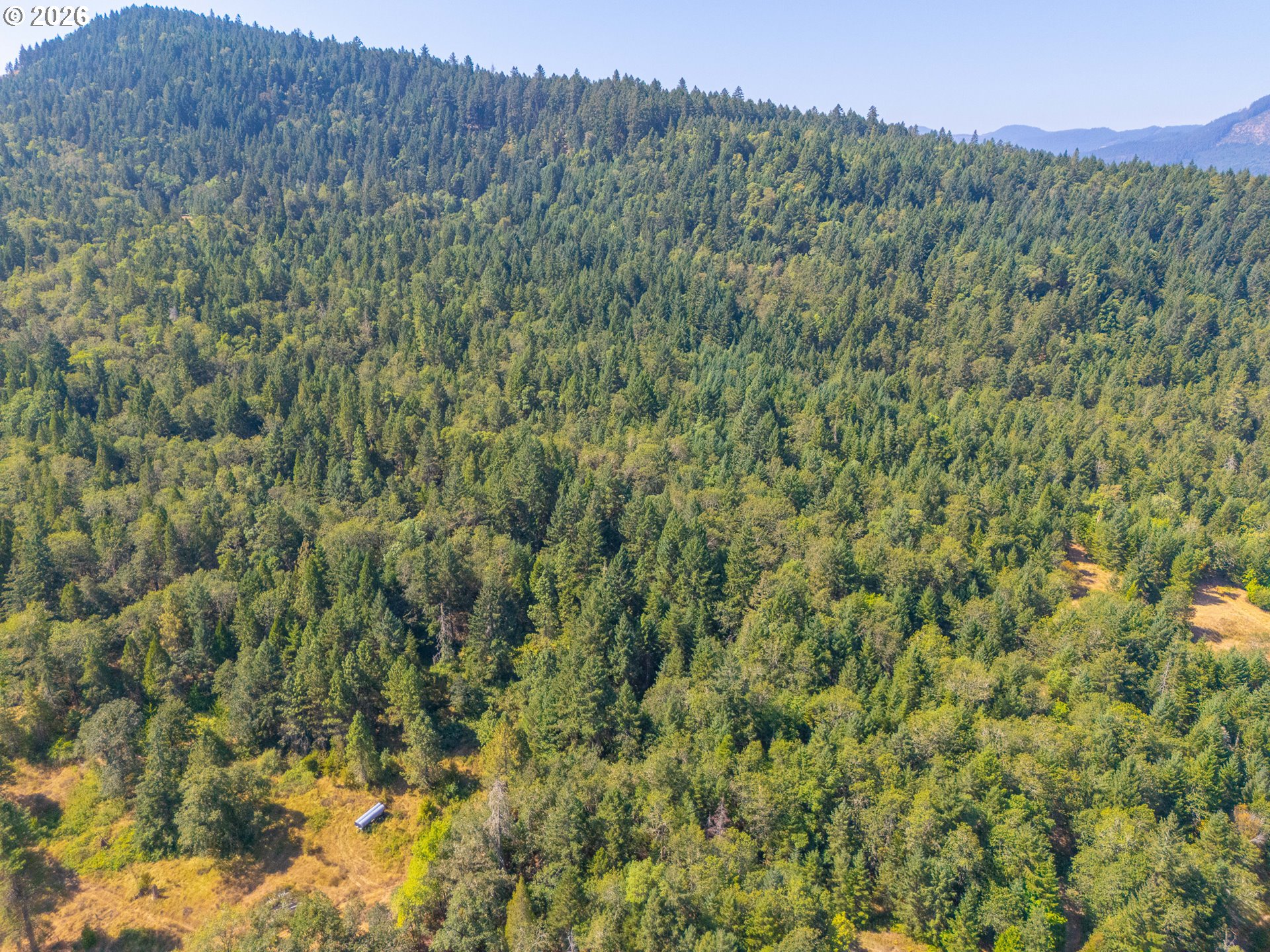 2894 Coos Bay Wagon Rd Property Photo 6