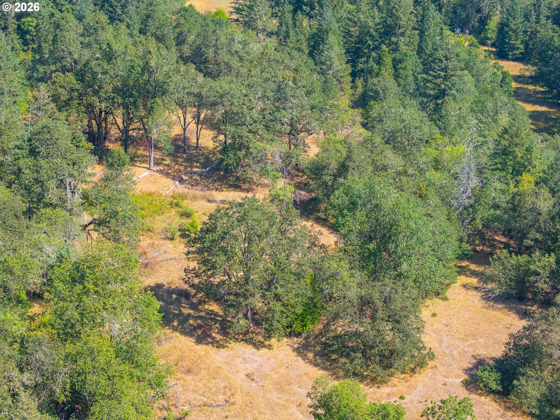 2894 Coos Bay Wagon Rd Property Photo 10