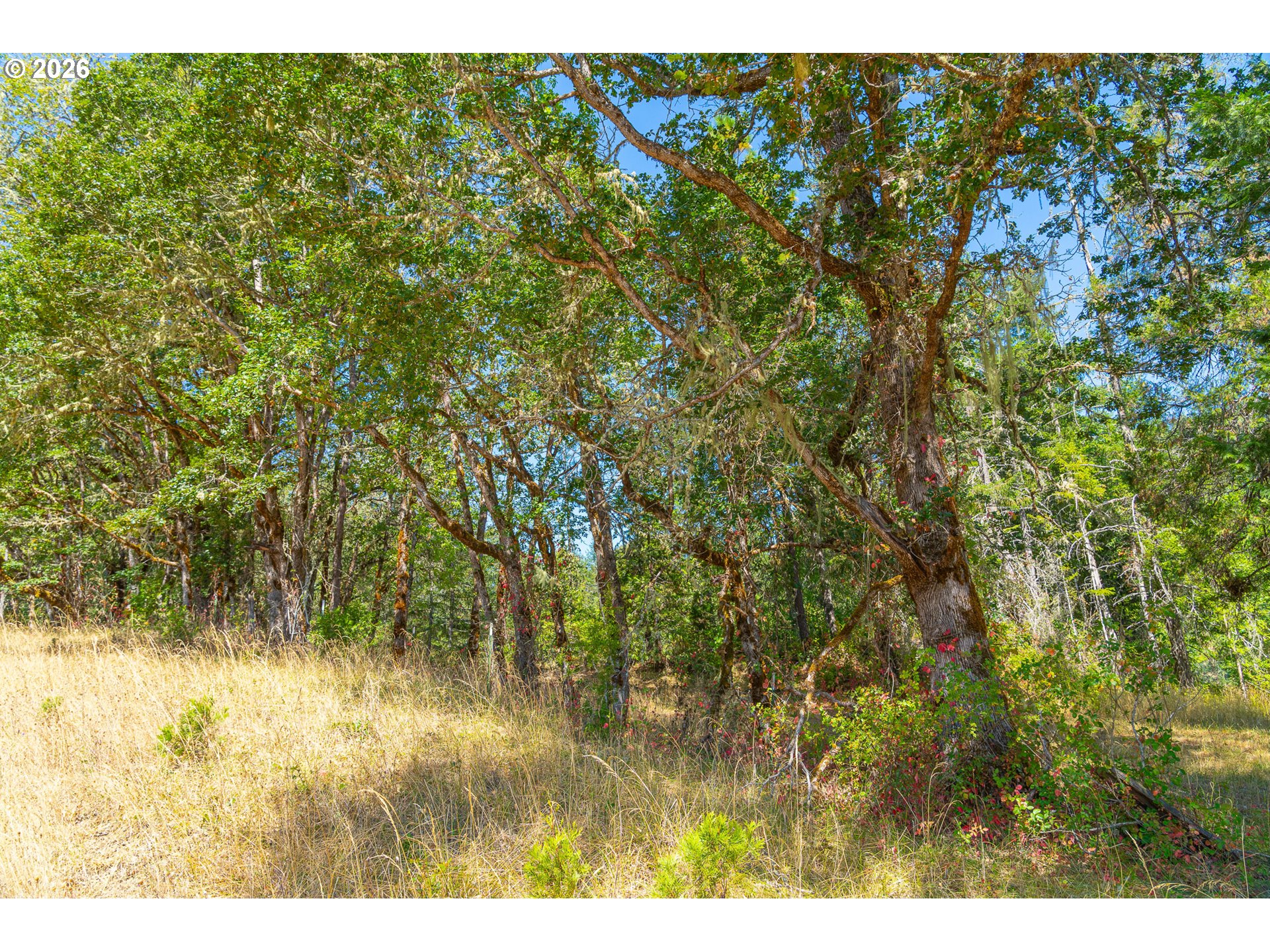 2894 Coos Bay Wagon Rd Property Photo 11
