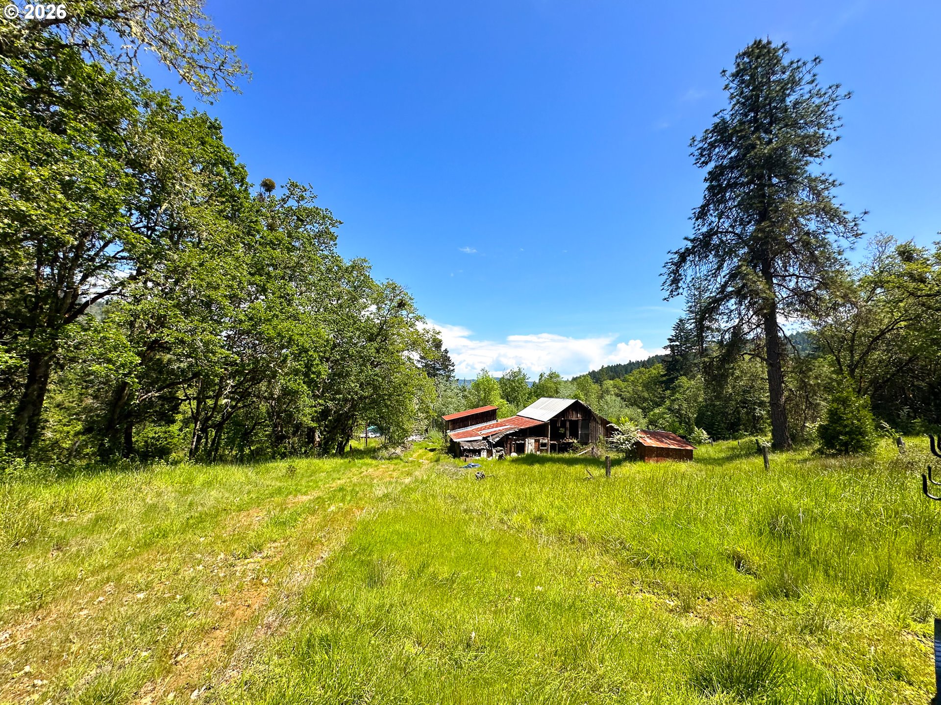 2894 Coos Bay Wagon Rd Property Photo 19