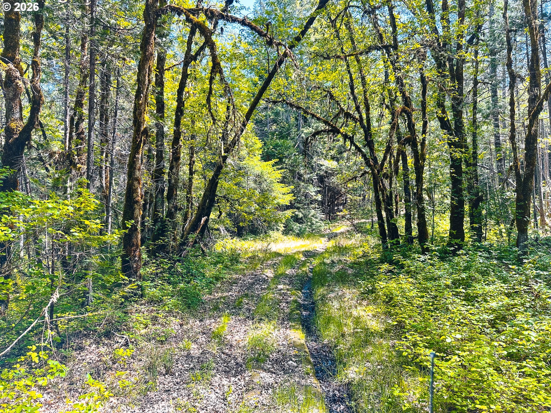 2894 Coos Bay Wagon Rd Property Photo 21