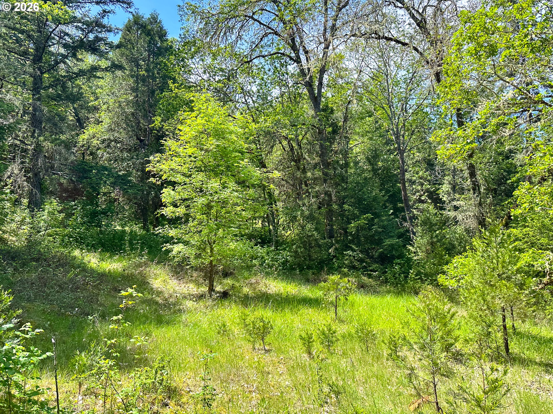 2894 Coos Bay Wagon Rd Property Photo 29