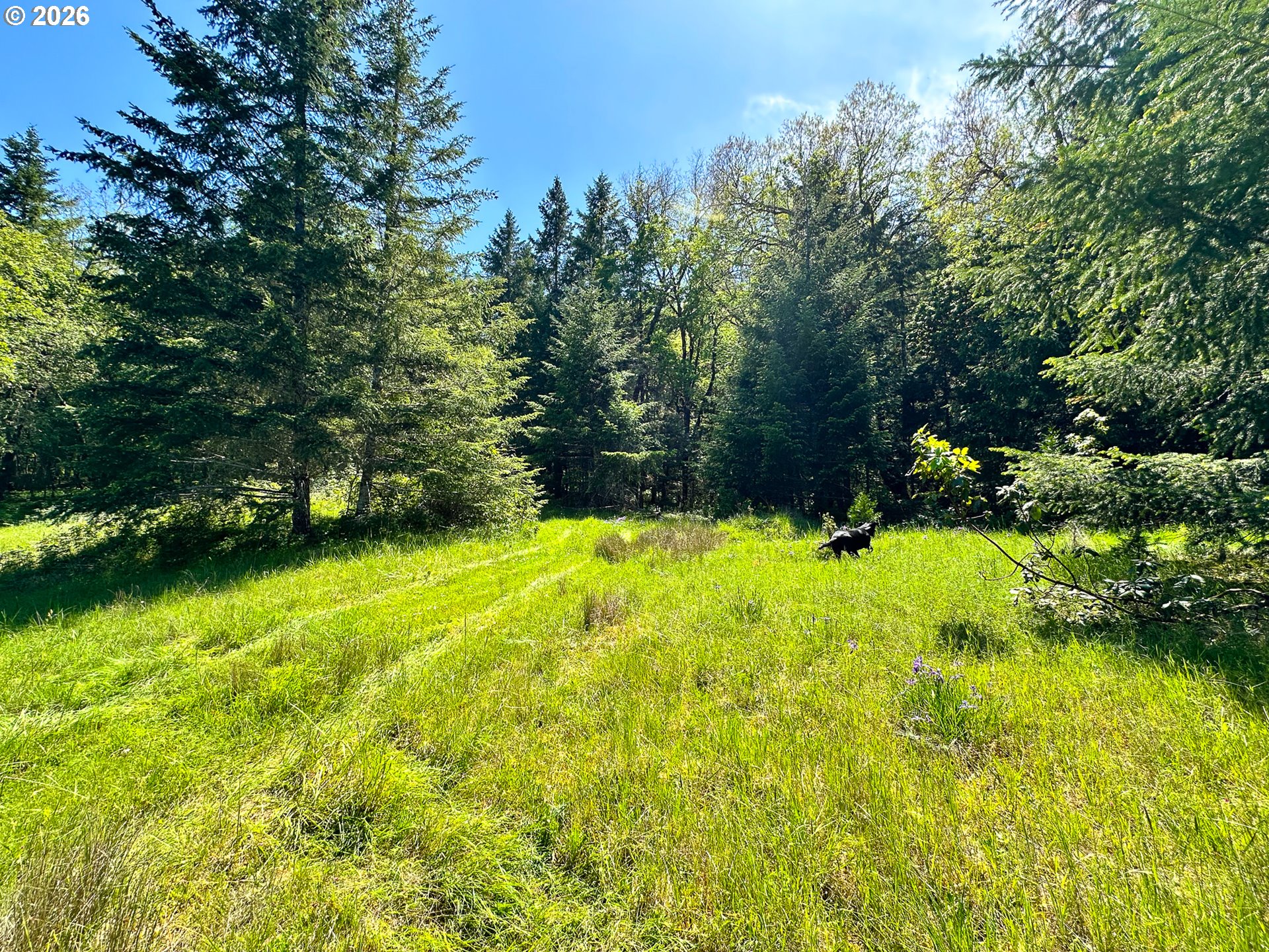 2894 Coos Bay Wagon Rd Property Photo 30