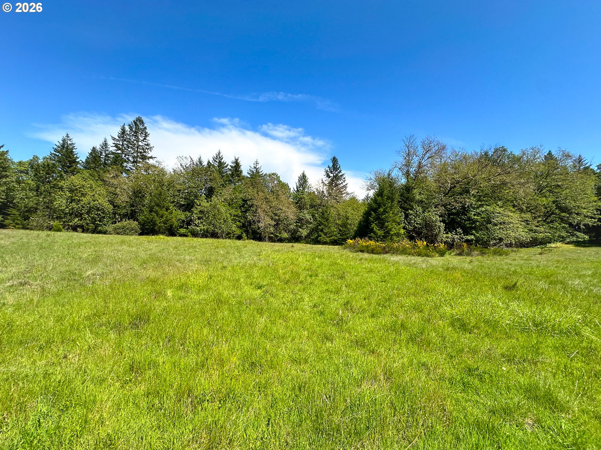 2894 Coos Bay Wagon Rd Property Photo 31